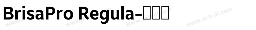 BrisaPro Regula字体转换